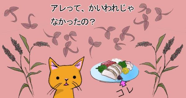 蓼 タデ とは お刺身のつまに出てくる赤紫で小さいアレの正体は 日々幸運